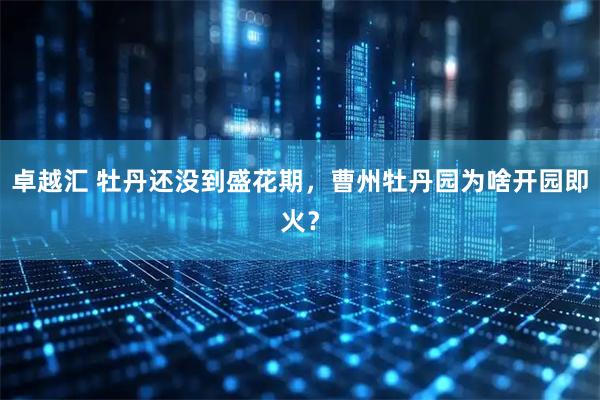 卓越汇 牡丹还没到盛花期，曹州牡丹园为啥开园即火？